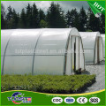 China manufactory promotional resistant dripping greenhouse film